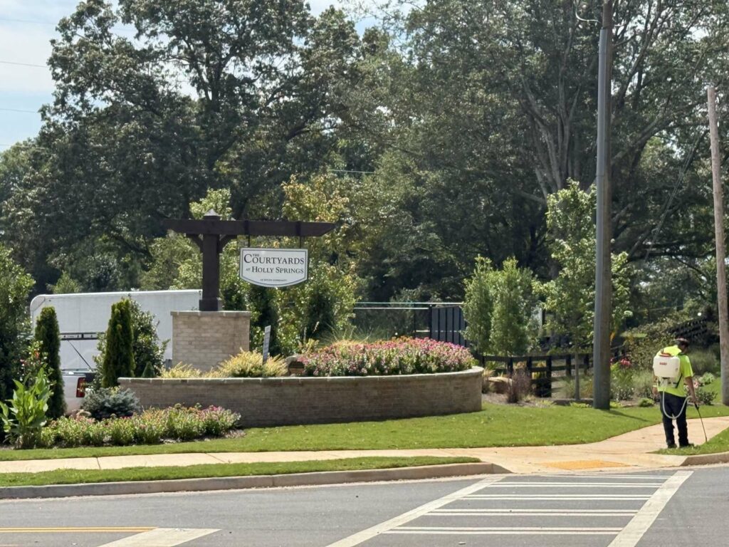 Courtyard at Holly Springs entrance after professional pressure washing